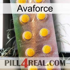 Avaforce new11